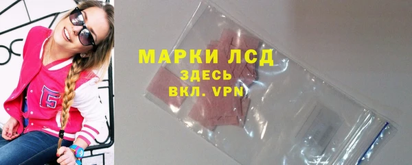 ПСИЛОЦИБИНОВЫЕ ГРИБЫ Абаза