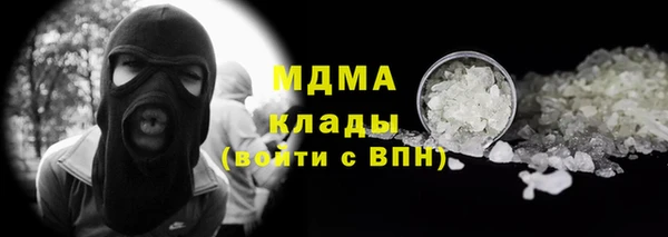 прущие грибы Алексин