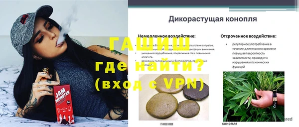 прущие грибы Алексин